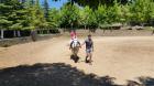Picture 102 (Small)