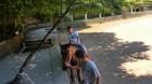 Picture 103 (Small)