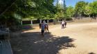 Picture 109 (Small)