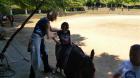 Picture 117 (Small)
