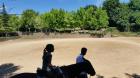 Picture 140 (Small)