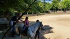 Picture 141 (Small)