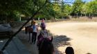 Picture 147 (Small)
