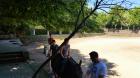 Picture 148 (Small)