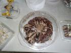 DSC01325 (Small)
