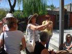 DSC02952