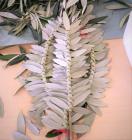 IMG_20180323_120628