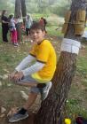 IMG-E329ad37a0f7c3b1432375c08cc84a85-V