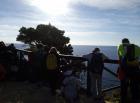Image (5)