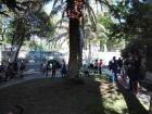 IMG-20170504-WA0014