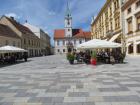 IMG_2441 (1)