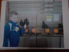 Bas1
