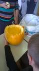 WP_20141030_13_22_39_Pro