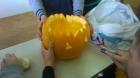 WP_20141030_13_25_04_Pro