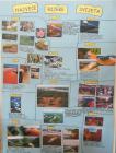 IMG-20190322-WA0013