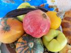 DSCN2369_800x600