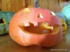 05-IMG_0355[1]