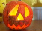 12-IMG_0366[1]