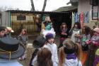 Maskenbal 2013 007