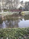 CAM00106