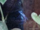 DSC01747