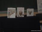 Picture 017