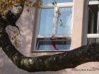 DSC09725-1