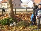 DSC09735-1