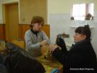 DSC09754-1