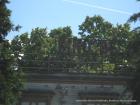KNEZEVO 321