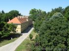 KNEZEVO 323
