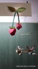 010-Picture 044
