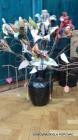 011-Picture 047