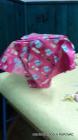 031-Picture 073
