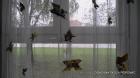 046-Picture 091
