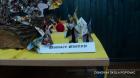164-Picture 244