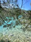 IMG-5948