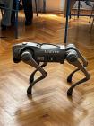 Robot10