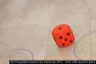 VIMG_5677 Web