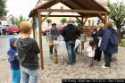 IMG_7809dpp