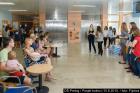 IMG_1441aa