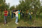 IMG_6398lr-2