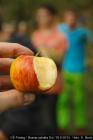 IMG_6403lr-2