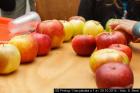 IMG_3531lr