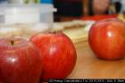 IMG_3542lr