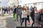 IMG_2951lr-2