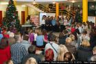 IMG_5713lr
