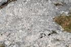 Bribirska Glavica - Tragovi Kola Na Kamenim Ulicama Bribira