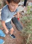 IMG-20210930-WA0043