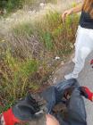 IMG-20210930-WA0046